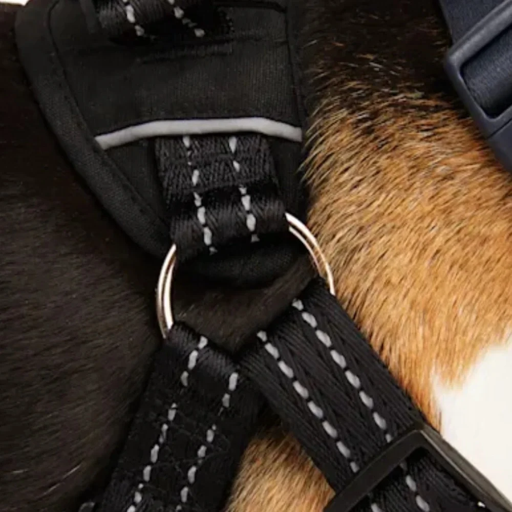 NWT easy on training harness XS